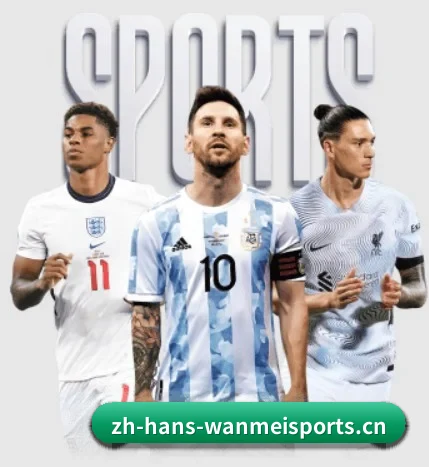 完美体育 APP(WANMEI SPORTS)